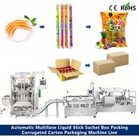 Volledig automatische multilane 10ml 15ml ijslolly, ijsstokjes, vloeibare jelly stick en sachet verpakkings- en cartonneermachinelijn