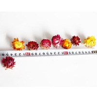Têtes de fleurs séchées artificielles naturelles en gros pour la décoration de gâteaux, durables, pour la fête des Mères et Noël