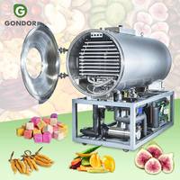 Liofilizador de 50 kg económico para alimentos, frutas, pescado y leche materna, máquina de secado por congelación al vacío con cinta transportadora