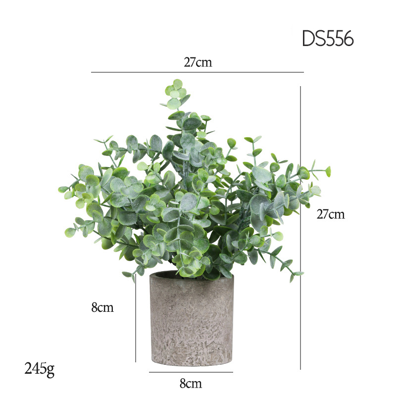 556  Raise and hang frost in greater Eucalyptus