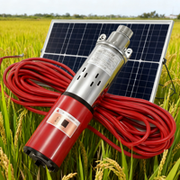 Pompe Solaire Submersible Haute Pression pour Puits Profond 48/60V CC, Vente en Gros, Logo Personnalisé