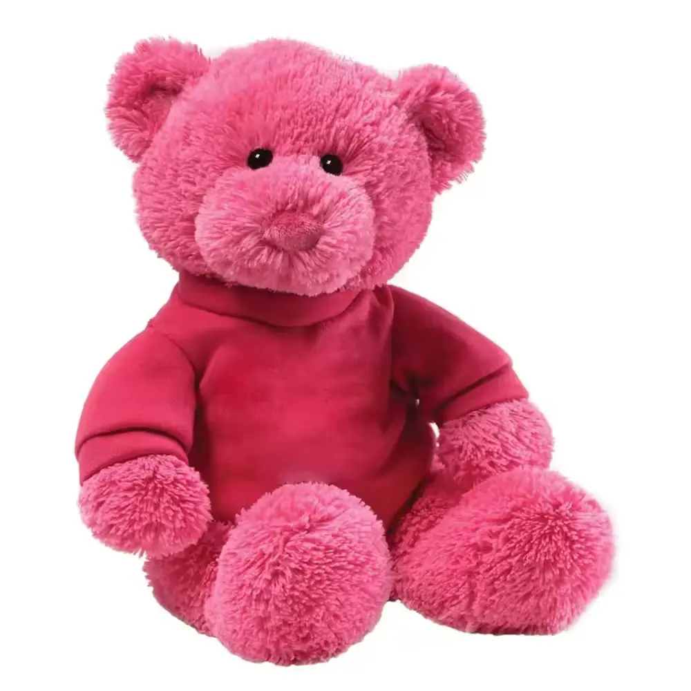 Gepersonaliseerde Custom Logo Verschillende Kleuren Teddybeer Met Roze T-Shirts Oem Ontwerp Geschenken Gevulde Zachte Teddybeer