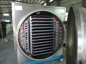 2022 Offre Spéciale lyophilisation machine sublimation condensation sécheur vide lyophilisateur prix lyophilisation - Product Image 5