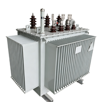 Transformateur de distribution de puissance immergé dans l'huile S13-M 33kV 400V 480V Dyn11 ONAN Triphasé 50/60Hz