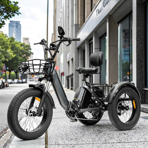 <span class=keywords><strong>Triciclo</strong></span> Eléctrico Inteligente de Alta Potencia 750W con Neumáticos Anchos para Adultos, Batería de Litio 48V, 3 Ruedas, Bicicleta Eléctrica de Carga, <span class=keywords><strong>Triciclo</strong></span> de Movilidad, Fabricante OEM - Product Image 4
