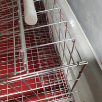 Cage à poules pondeuses automatique de type A en gros, 4 niveaux, 5 portes, 160 poules, cage en batterie, équipement avicole pour poulailler