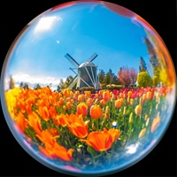 Custom 1000 Stuk Puzzel Volwassen 1000 Stuks Ronde Puzzel