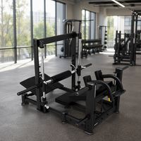 Reyk REYK-B03 Appareil d'extension des hanches à double position en acier, inclinable à 45 degrés, avec pile de poids de 75 kg+, pour musculation des épaules