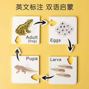 <span class=keywords><strong>Juego</strong></span> Educativo Temprano de Reconocimiento de Insectos, Juguetes de Madera de Evolución Biológica para Niños, Tablero de Ciclo de Vida, Material Didáctico Montessori - Product Image 4
