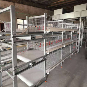 Jaula para <span class=keywords><strong>Gallinas</strong></span> Ponedoras <span class=keywords><strong>de</strong></span> Granjas Avícolas Grandes, Tipo H, 4 Niveles, con Sistema Automático <span class=keywords><strong>de</strong></span> Alimentación y Bebederos - Product Image 4