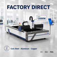 Machine de découpe laser à fibre professionnelle pour l'acier inoxydable, l'aluminium, le cuivre, idéale pour les ateliers de fabrication industrielle de métaux