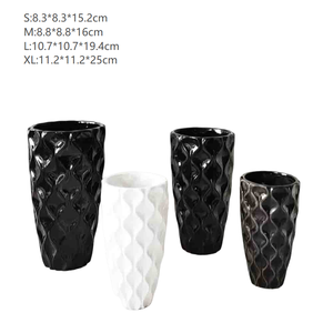 Jarrón de Cerámica Decorativo para Plantas de Interior, Estilo Nórdico Minimalista Moderno, Color Blanco y Negro, para Decoración del Hogar - Product Image 6