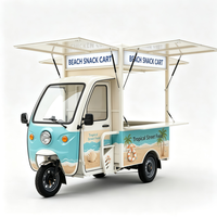 Tricycle Électrique Mobile pour la Restauration 48V 60V, Chariot Alimentaire au Lithium, Apparence Personnalisée pour la Vente de Boissons Fraîches et de Plats de Loisirs
