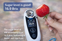 Ferme hydroponique automatisée à régulation climatique conçue pour les fraises Sui Pearl Premium