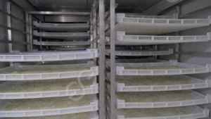 อุตสาหกรรมพลัมวันที่เสาวรสการคายน้ำแอปริคอทเปลือกมะนาวเครื่องเป่ามะม่วงองุ่นลูกเกดเครื่องอบแห้ง - Product Image 5