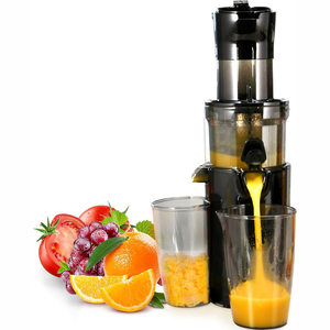 Extracteur de Jus Professionnel à Pression à Froid Facile à Nettoyer pour Jus Pur – Machine à Jus Lente pour Fruits - Product Image 1