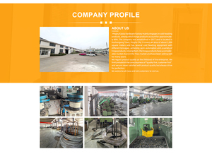 Bản lề trục thép carbon mềm với mặt bích hàn cho trang bị thêm cửa công nghiệp và lắp ráp khung - Product Image 6