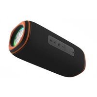 Enceinte Bluetooth 16W Grande Puissance, Lecteur de Musique Sans Fil, Basses Puissantes, BT TF AUX USB FM LED, Enceinte Extérieure