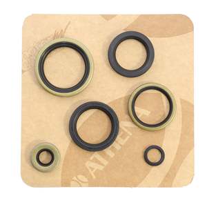 Kit de juntas de aceite de motor Sportster Ironhead 1000 82-85 - Product Image 1