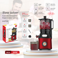 Extracteur de Jus Lent 300W à Faible Bruit, Machine à Jus Automatique Électrique pour Fruits et Légumes, Idéal pour la Maison - Vente Chaude