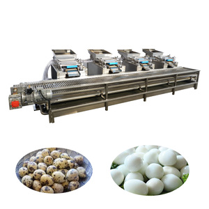 Nhà máy chế biến trứng cút tự động, luộc, gọt vỏ bằng động cơ, dành cho các nhà máy bánh mì & gia vị, công suất cao 6000-8000 trứng/giờ - Product Image 2