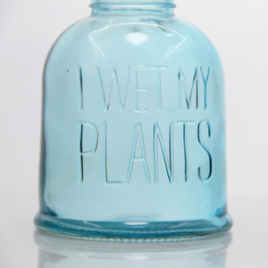 Brumisateur de plantes en verre fin avec outils de jardin pour arroser les plantes Fournitures de jardin - Product Image 4