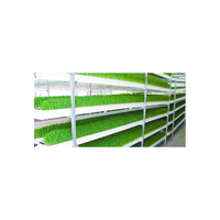 Serre hydroponique en plastique pour plantes Système de culture Microgreen pour plantes