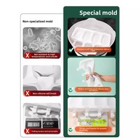 Moule à glace Menglong de qualité alimentaire, en silicone spécial, pour glaces maison, capacité de 100 bâtonnets, inodore