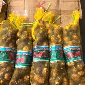 Frische Taro-Wurzel Höchste Qualität Eddo Dasheen <span class=keywords><strong>Cocoyam</strong></span> Arbi Colocasia Gathiya Guter Preis Taro zum Verkauf - Product Image 4