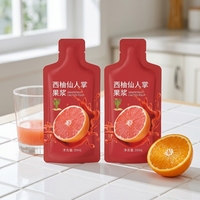 Pochettes souples à bec verseur, sachets alimentaires jetables pour jus et liquides buvables, impression personnalisée