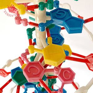 Genetik studie High School 60cm Duplex-DNA-Modell - Product Image 5