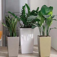Grand pot de plante auto-arrosant avec finition glacée en plastique pour décoration intérieure/extérieure de jardin domestique en polypropylène avec surface peinte