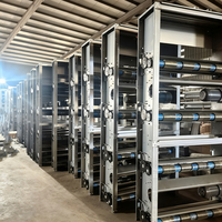 Cage à poulets automatique de type H haute densité, ensemble complet d'équipement d'élevage pour les fermes avicoles commerciales à grande échelle