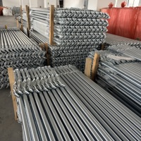 Barre de verrouillage de porte de conteneur en acier, acier au carbone Q235, certifiée ISO 9001, pièces de rechange pour conteneurs maritimes 20 pieds/40 pieds, galvanisée