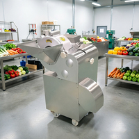 Automatische 3D Fruit Snijmachine SUS304 Komkommer Mango Tomaat Wortel Snijder Groente Snij- en Snijmachine voor Restaurant