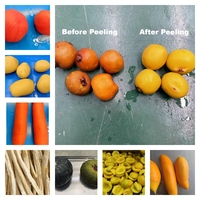 China Vervaardigde 2Ton/H Horizontale Hogedruk Fruit & Groente Schilmachine Industriële Aardappelschillers