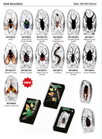 Desain Modern dari meja akrilik penindih kertas Real Taxidermy serangga spesimen tertanam dalam sains Resin hadiah untuk teman