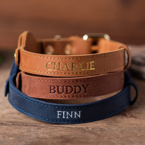 <span class=keywords><strong>Collar</strong></span> de perro para mascotas al aire libre, <span class=keywords><strong>collar</strong></span> de cachorro, <span class=keywords><strong>Collar</strong></span> de perro masculino grabado, <span class=keywords><strong>Collar</strong></span> de perro <span class=keywords><strong>gato</strong></span> de cuero genuino con soporte <span class=keywords><strong>GPS</strong></span> - Product Image 6
