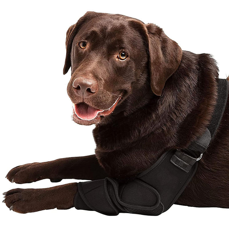 ดำ-ขาซ้าย