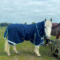 Couverture d'écurie imperméable pour chevaux, en coton, rembourrage chaud, hiver, tissu ripstop, vente en gros