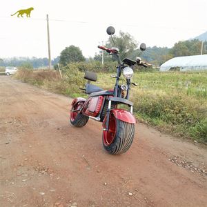 Citycoco <span class=keywords><strong>2022</strong></span>, meilleure performance, design populaire, scooter électrique 12 pouces, 2000W, moto adulte, entrepôt européen, Citycoco - Product Image 2