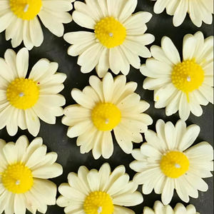 Natural Floral Soy Wax Scented <b>Candle</b> Handmade Eco Friendly Designer <b>Candle</b> for Home Decor Gift Bulk Supplier - Product Image 1