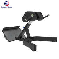 Chaise romaine professionnelle robuste pour entraînement musculaire du tronc et de la taille, banc d'hyper-extension dorsal en acier métallique thermolaqué pour la gym