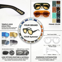 Lunettes de soleil Lmamba 2410 de haute qualité, design luxueux, CR39, logo personnalisé, lunettes de soleil ovales surdimensionnées en acétate pour hommes et femmes