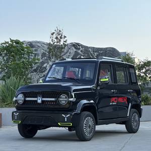 Véhicule électrique minimaliste 5 portes 4 places - Personnalisable, basse vitesse, tendance YOTK-01, moteur 4000W, vitesse maximale 45 km/h, batterie 125AH - Product Image 5