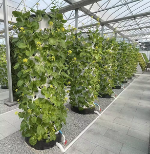 Tour de jardin verticale hydroponique Grandes jardinières empilables à 5 niveaux 20 sites de plantes avec apport en nutriments <span class=keywords><strong>Coco</strong></span> Coir et réservoir - Product Image 5