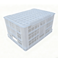 Nouveau panier multifonctionnel en plastique HUADU - Panier de courses léger, durable et écologique pour fruits et légumes