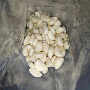 Ajo Fresco Pelado, Ajo Fresco, Ajo Blanco Fresco, Ajo Fresco, Precio de Fábrica en <span class=keywords><strong>China</strong></span>, Proveedor Mayorista, Exportador de Ajo Fresco - Product Image 2