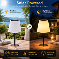 Lampe de table solaire LED rechargeable CoolQing avec télécommande, lumière RGB, décoration d'ambiance pour jardin extérieur, vente en gros, personnalisable