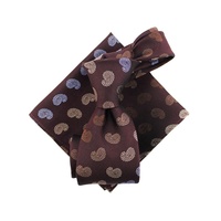 Ensemble cravate et pochette de costume sur mesure en gros, élégant, 100% soie jacquard tissée, motifs Paisley bordeaux, beige, bleu, or pour homme